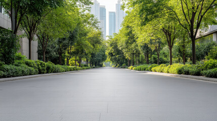 Empty tree lined urban avenue with soft morning light and calm atmosphere