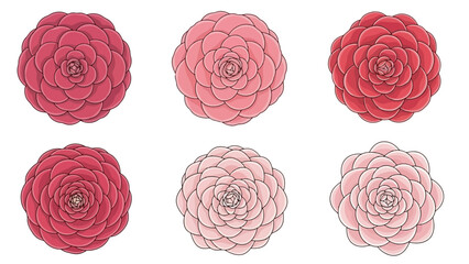Collection of six beautiful pink and red camellia flowers in bloom, presented in a two-by-three grid layout