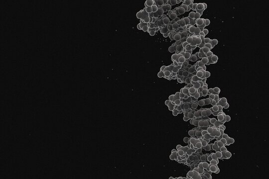 Electron-microscopy&ndash;style depiction of a DNA double helix, created using data from the Protein Data Bank (PDB ID: 1BNA), which is released under the CC0 1.0 Universal Public Domain Dedication.