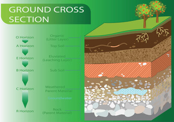 Vector illustration of Ground Cross Section with organic, topsoil, subsoil and other horizon levels. Geological information poster..eps