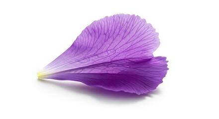 Delicate beauty of a single purple petal, perfect for wellness branding or soothing floral designs, conveying softness and natural elegance with its graceful form