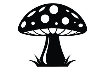 An isolated black fungus with white spots is seen with grass below it