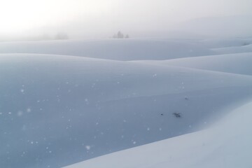 Embrace the serene beauty of a snowy winter landscape featuring soft rolling hills and gentle snowfall, perfect for evoking peace, tranquility, and winter wonder