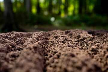 Fertile farm soil. Cultivated ground in rural farm field. Organic compost mixed into farm soil. Fertile soil. Groundwork and soil for cultivation.