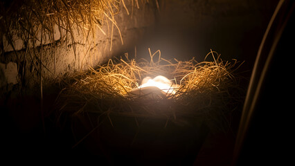 Eggs glow softly in straw nest inside dark barn, symbolizing new life and potential in the quiet stillness of the night.