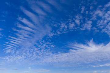 White clouds in the blue sky. Weather concept background. Air nature view wallpaper. Soft cloudscape in daylight. Vibrant blue sky filled with scattered white cumulus clouds.