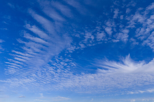 White clouds in the blue sky. Weather concept background. Air nature view wallpaper. Soft cloudscape in daylight. Vibrant blue sky filled with scattered white cumulus clouds. - Powered by Adobe