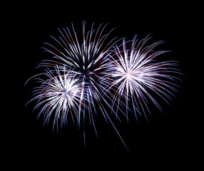 Colorful firework sparkling on black background for celebration and anniversary