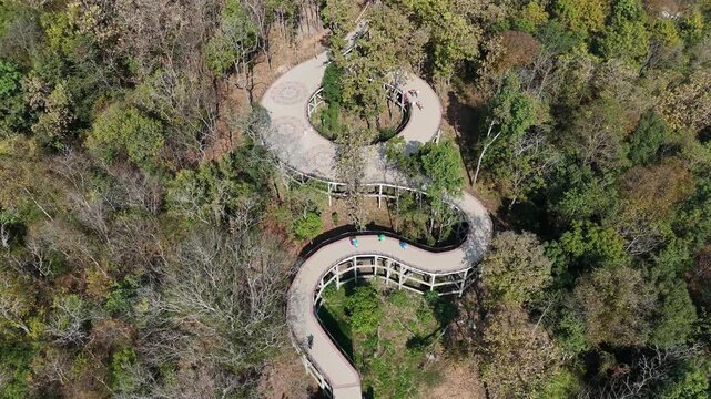 Aerial view of the skywalk in Phayao province of Thailand. Located on Wat Phrathat Chom Thong temple for viewing Phayao lake the largest freshwater lake in the northern Thailand.