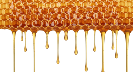 Close-up shot of a honeycomb dripping with golden, viscous honey against a white background.