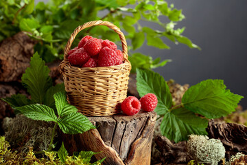 Small wicker basket filled with fresh, ripe raspberries.