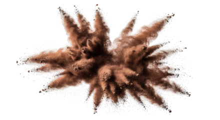 A detailed image capturing a brown explosion of dust particles against a white background.