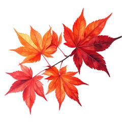Bright red maple leaves and vibrant autumn foliage on a seasonal tree branch
