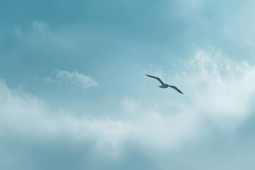 Obraz premium Solitary Seagull Soaring Through a Tranquil, Cloudy Sky.