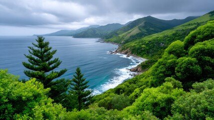 Coastal landscape view with green hills, ocean, and cloudy sky