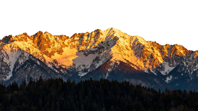 Snow-capped mountain range illuminated by golden sunlight at sunrise or sunset, with dense forest in the foreground