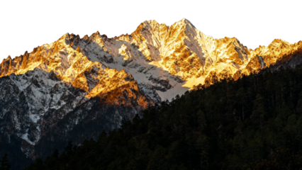 Snow-capped mountain peaks illuminated by golden sunlight with dense forest in foreground