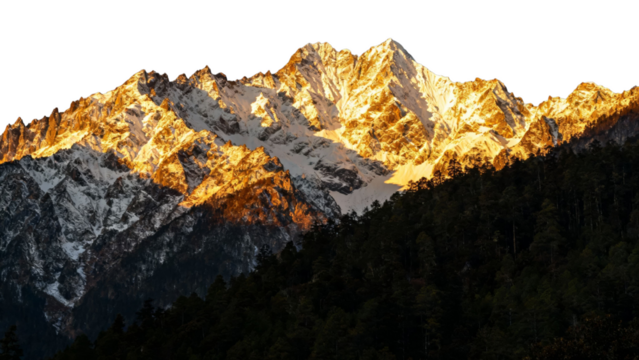 Snow-capped mountain peaks illuminated by golden sunlight with dense forest in foreground - Powered by Adobe