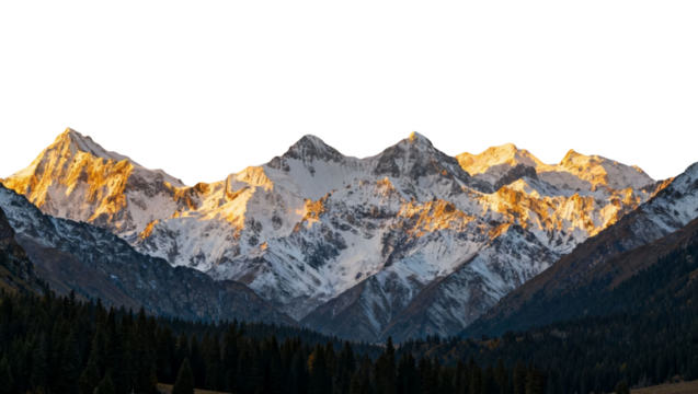 Snow-capped mountain range illuminated by golden sunlight with dense forest in foreground