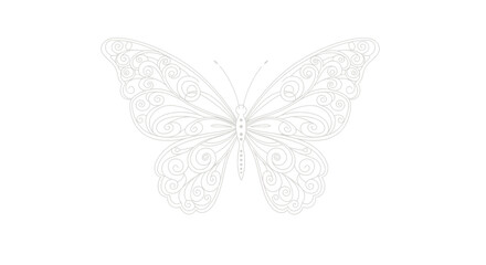 Elegant Line Art Illustration of a Delicate Butterfly with Intricate Wing Patterns
