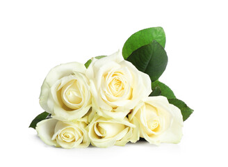 Bouquet of beautiful rose flowers on white background