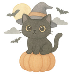 Black Cat with Witch Hat Sitting on Pumpkin Under Moonlight
