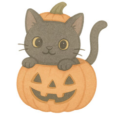 Cute Black Cat Sitting Inside Halloween Pumpkin for Seasonal Decor