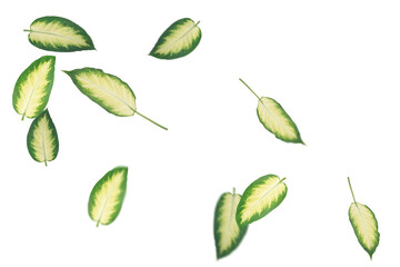 Green Leaves Overlays &ndash; Natural Foliage Transparent Overlay Effects