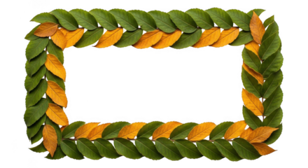 Rectangular frame made of green and yellow leaves isolated on transparent background