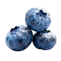 Obraz premium Three fresh blueberries with powdery bloom on white background