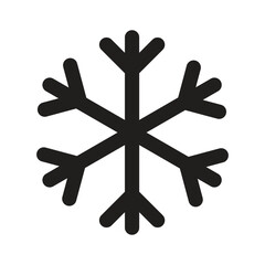 Fototapeta premium Beautiful Vector Snowflake Design Winter Ice Crystal Ornamental Graphic Element Icon