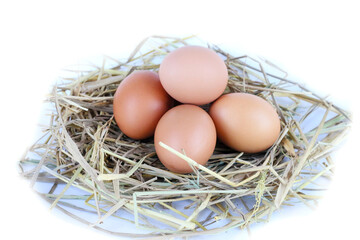 Fresh eggs nestled in a small pile of straw, isolated on white, natural rustic look.