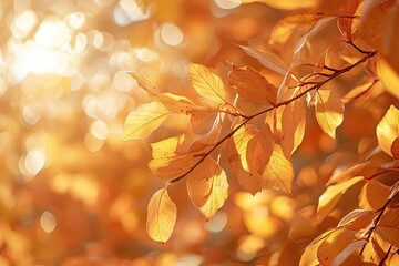A vibrant autumn scene with a tree adorned with orange leaves, set against a backdrop of a clear blue sky.