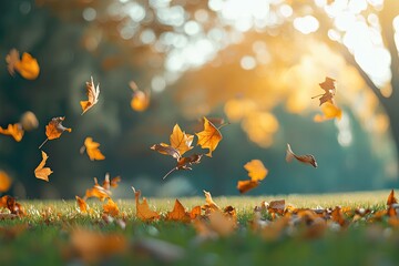 A serene autumn scene with a grassy field dotted with fallen leaves, set against a backdrop of trees and a clear blue sky.