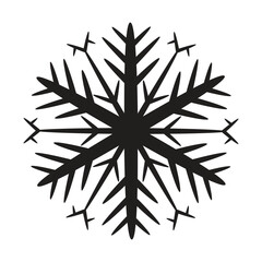 Beautiful Vector Snowflake Design Winter Ice Crystal Ornamental Graphic Element Icon
