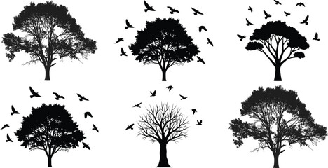 Tree bird silhouette