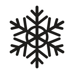 Beautiful Vector Snowflake Design Winter Ice Crystal Ornamental Graphic Element Icon