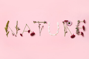 Word NATURE made of beautiful spring flowers on pink background