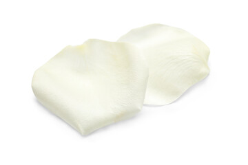 Beautiful rose petals isolated on white background, closeup