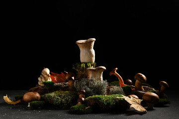 Obraz premium Moss, dried leaves and fresh mushrooms on black grunge background