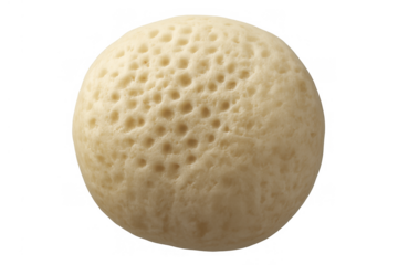 Baghrir pancake with porous texture creating many small holes, a close-up of traditional moroccan food, transparent background