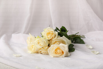 Beautiful rose flowers on white fabric background