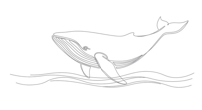 Minimalist Line Drawing of a Bowhead Whale Emerging from the Ocean Waves