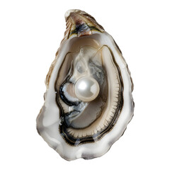Oyster with a single perfect pearl inside