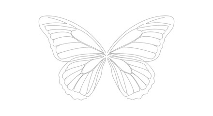 Fototapeta premium Elegant line art sketch of a butterfly with detailed wings for design projects