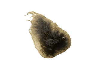 Sri Lanka Map Golden Metallic Texture Map Gold Reserves And Gold Mining Concept 3D Illustration