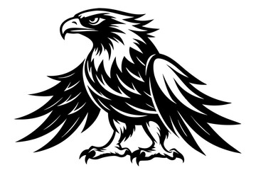 Fototapeta premium eagle silhouette black and white on white background