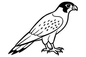 Obraz premium falcon silhouette black and white line art on white background