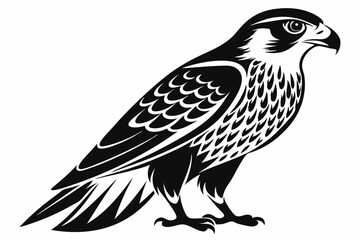 Obraz premium falcon silhouette black and white line art on white background