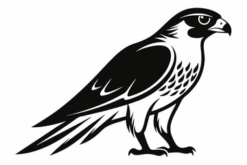 Obraz premium falcon silhouette black and white on white background